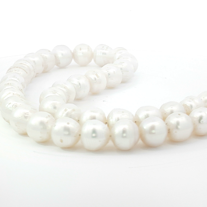South Sea Pearl Strand