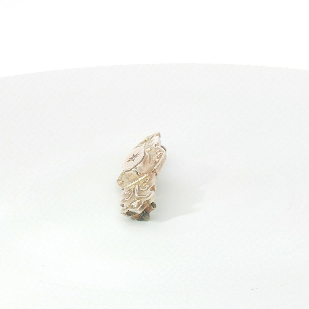 9ct RG Brooch with Star-Set Diamond