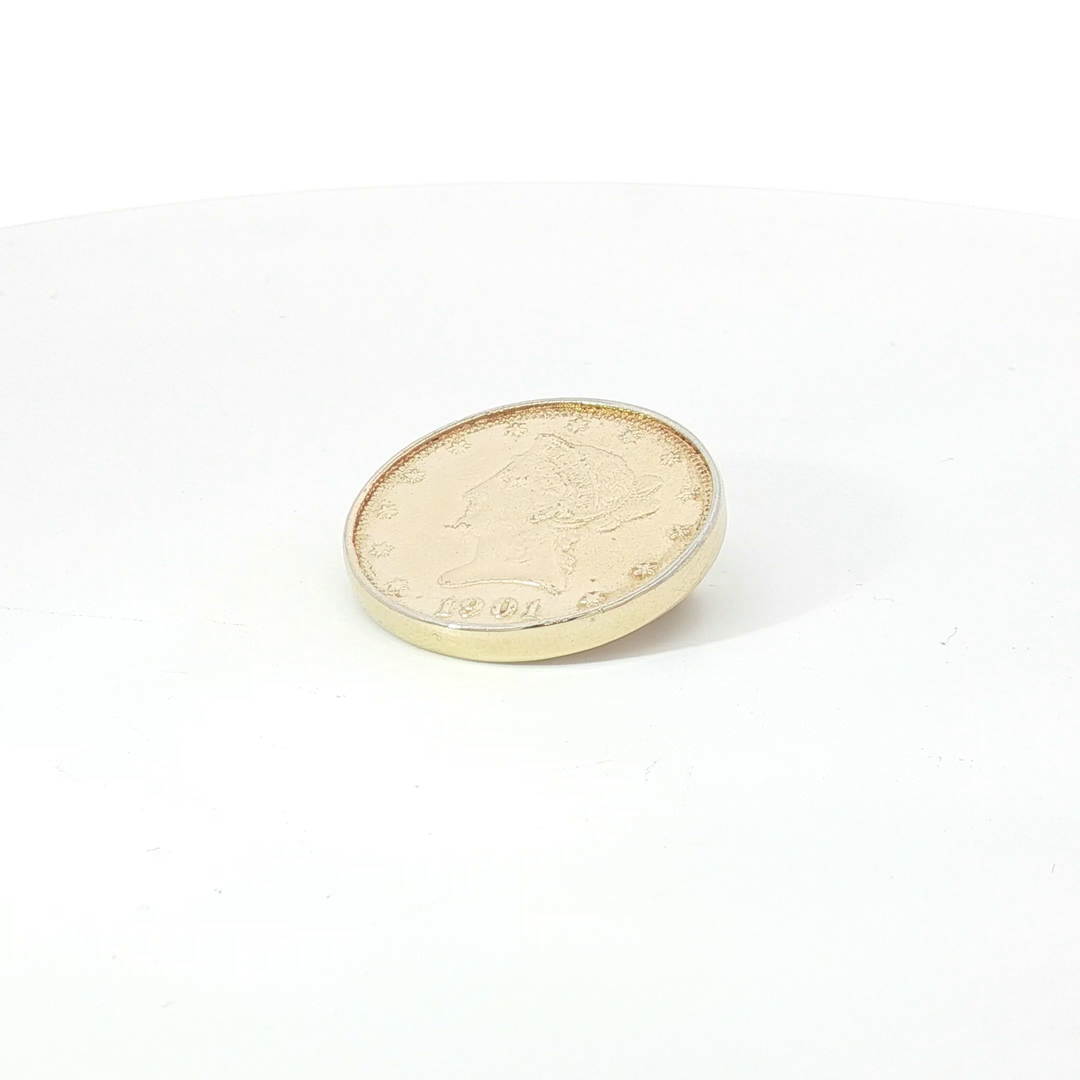 YG 1901 Liberty Head Coin Brooch