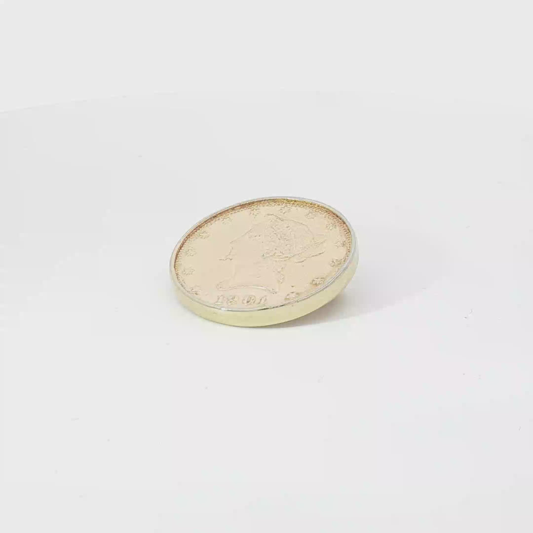 YG 1901 Liberty Head Coin Brooch